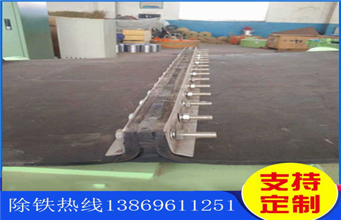 永磁午夜精品久久久久久，青海永磁午夜精品久久久久久距离皮带高度_参数_内部磁块安装方法_青海永磁午夜精品久久久久久距离皮带高度规格型号价格 